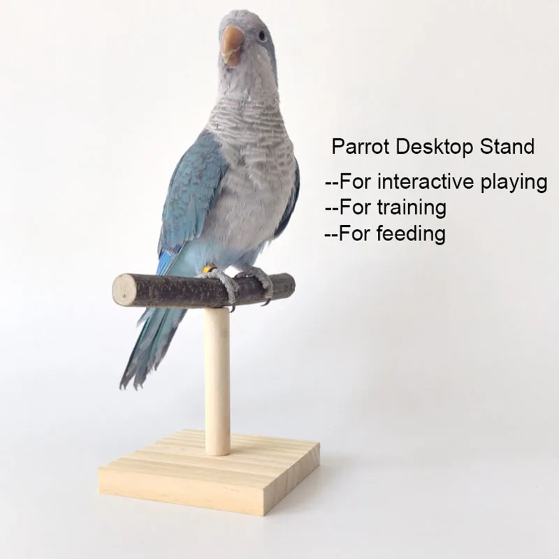 Desk Setup Wood - 자연 데스크탑 스탠드 애완 동물 앵무새